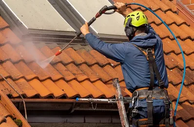 Démoussage et hydrofuge de toiture à Urtière